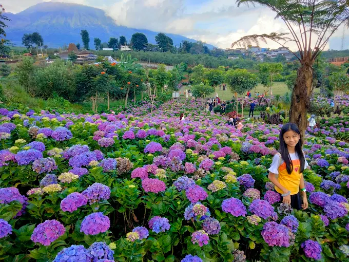 Wisata Dusun Kuliner